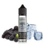 جویس تمشک سیاه و یخ رایپ ویپ | Ripe Vapes Blackberry Freez