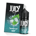 سالت نعنا یخ نستی | Nasty Spearmint Salt